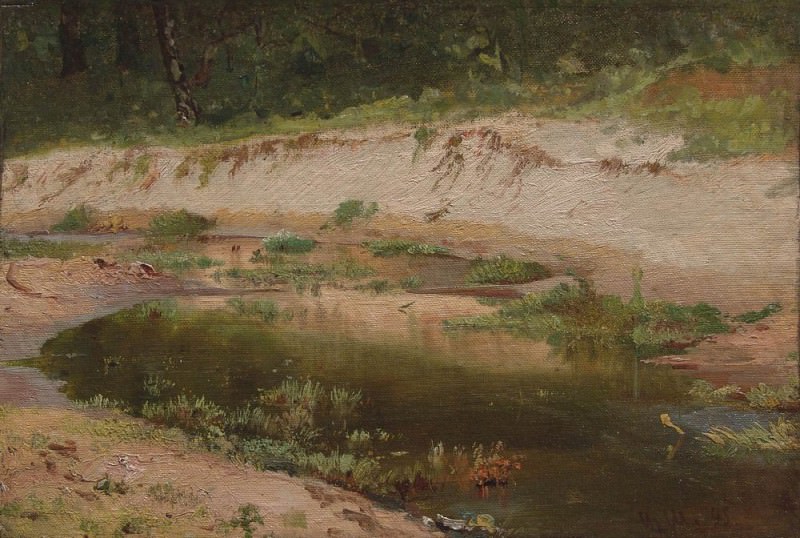 Лесной ручей 1895. Этюд картина