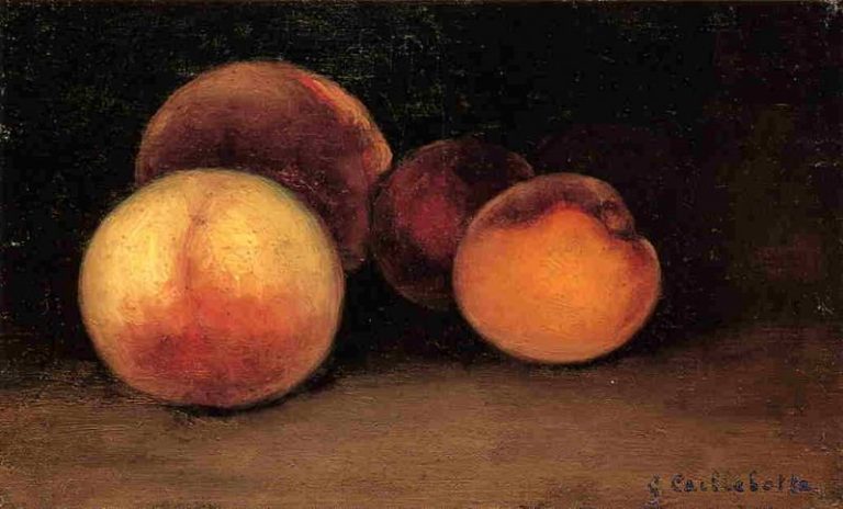 Персики, нектарины и абрикосы картина