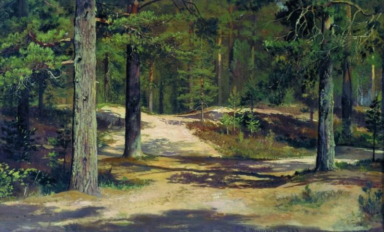 Сосновый лес 1889 36х58 картина