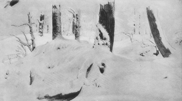 Лес под снегом 1890-е. Бумага, уголь, мел. 24х45 картина