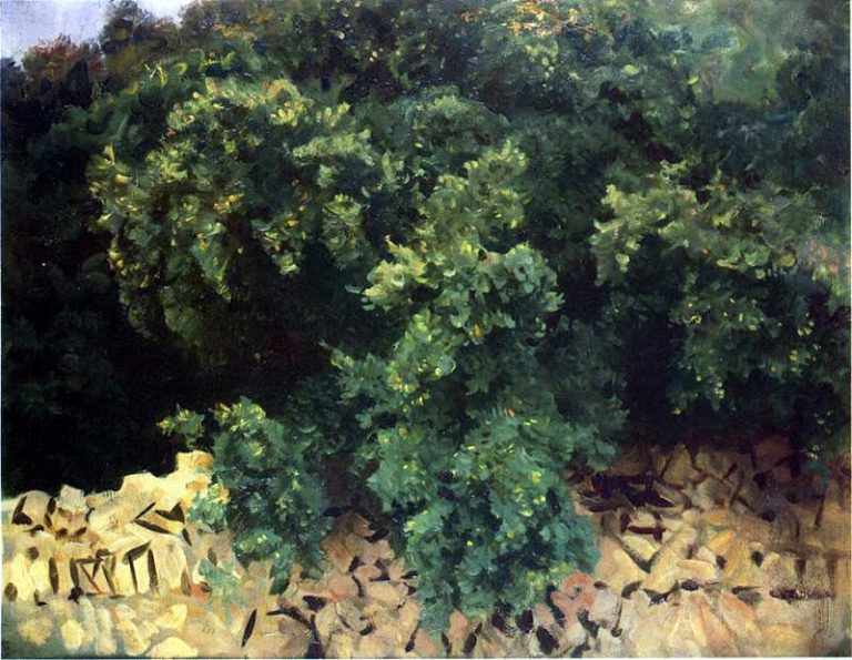 Лес Айлекса на Мальорке картина