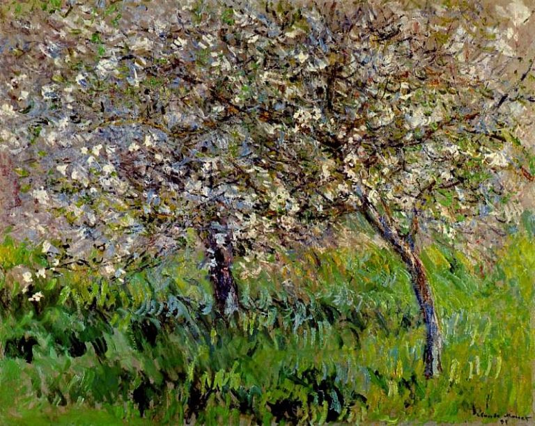 Цветущие яблони в Живерни картина