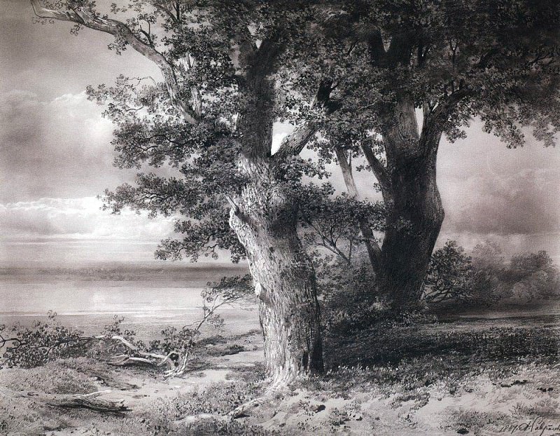 Дубы на берегу. 1867 картина