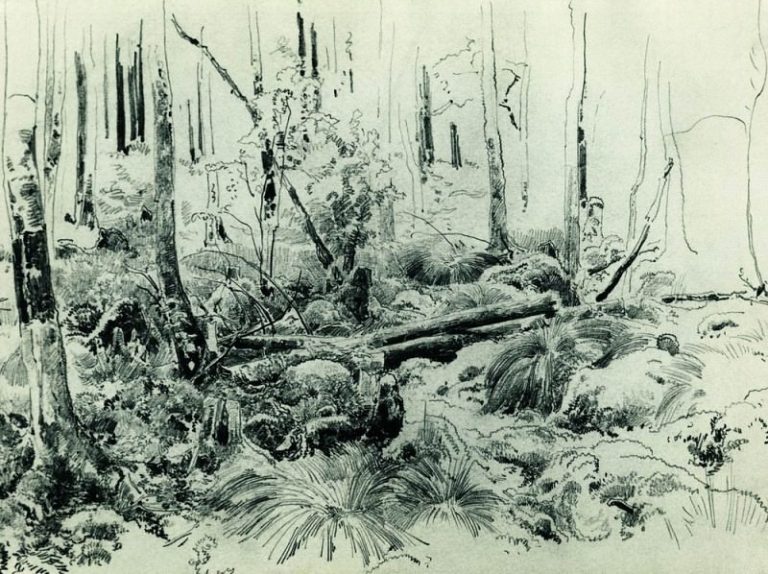 В лесных зарослях 1870-е 24. 2х32 картина