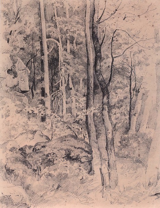 Лес. Начало 1870-х 23х18, 4 картина