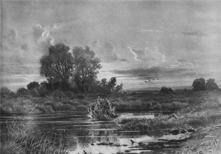 Заросший пруд. 1884 47х61. 2 картина