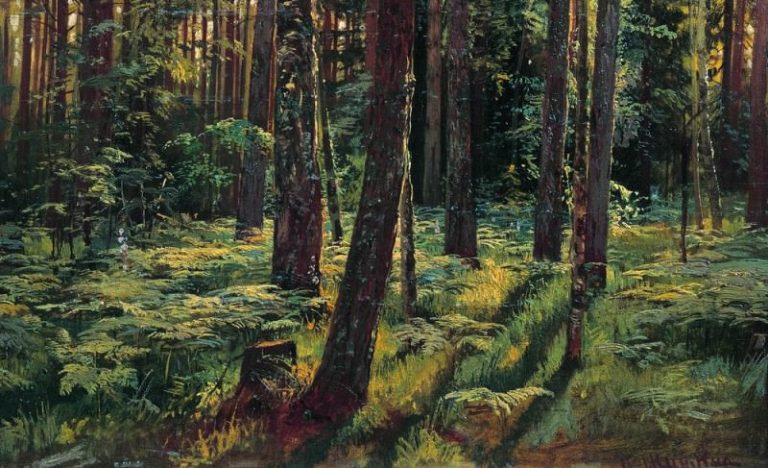 Папоротники в лесу. Сиверская 1883 36х59 картина