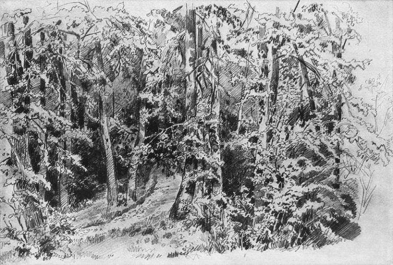 В лиственном лесу 1880-е 30х45. 9 картина