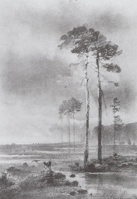 Сосны у болота. 1882 картина