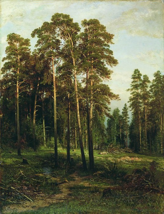 Сосновый лес 110х85 картина