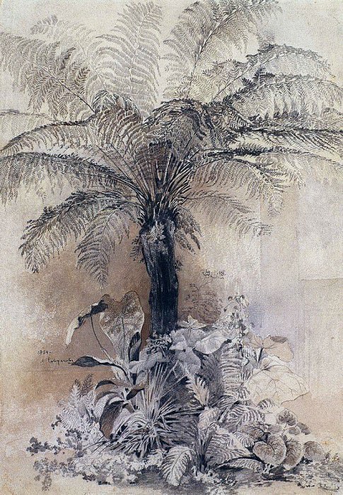 Тропические растения. Древовидный папоротник. 1854 картина