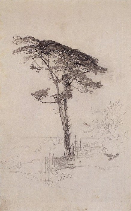 Сосна. 1854 картина