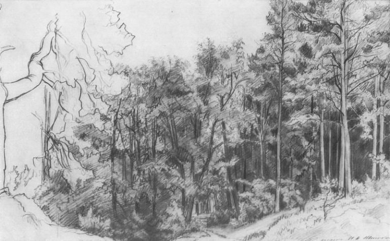 Лиственный лес 1873 30х45 картина
