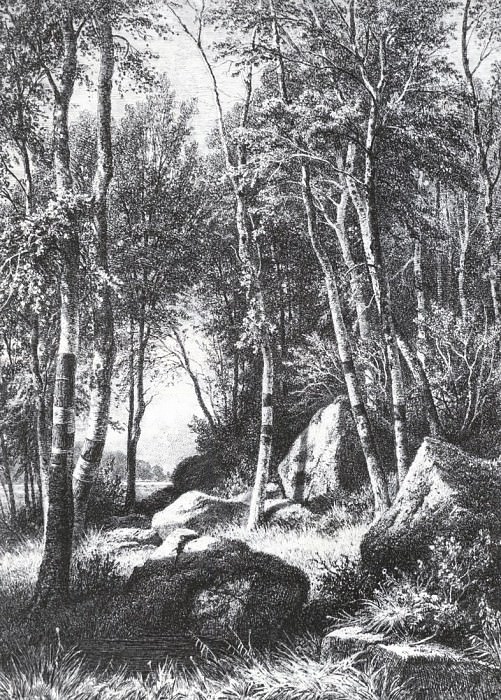 На краю березовой рощи. Валаам. 1859-1860 44, 4х37 картина