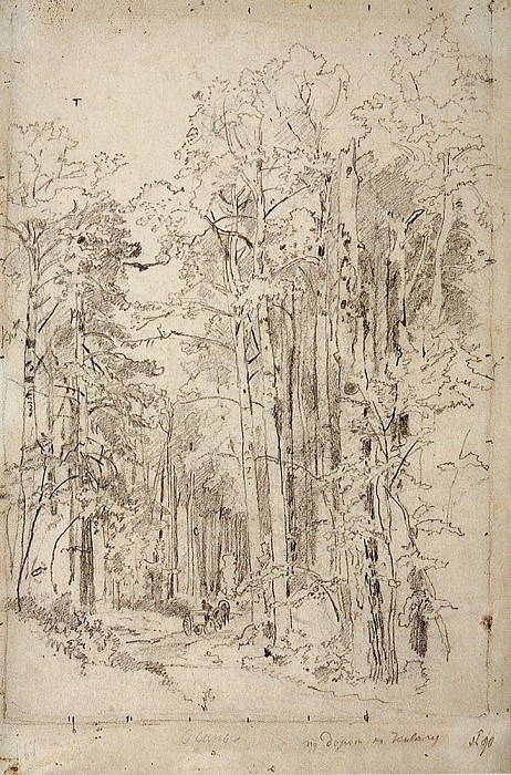 Осины по дороге к Кивачу. 1889 48х32. 4 картина