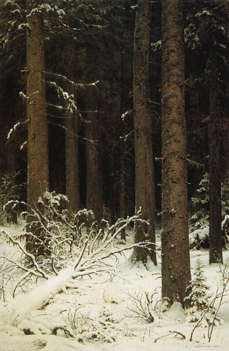 Еловый лес зимой 1884 140х95 картина