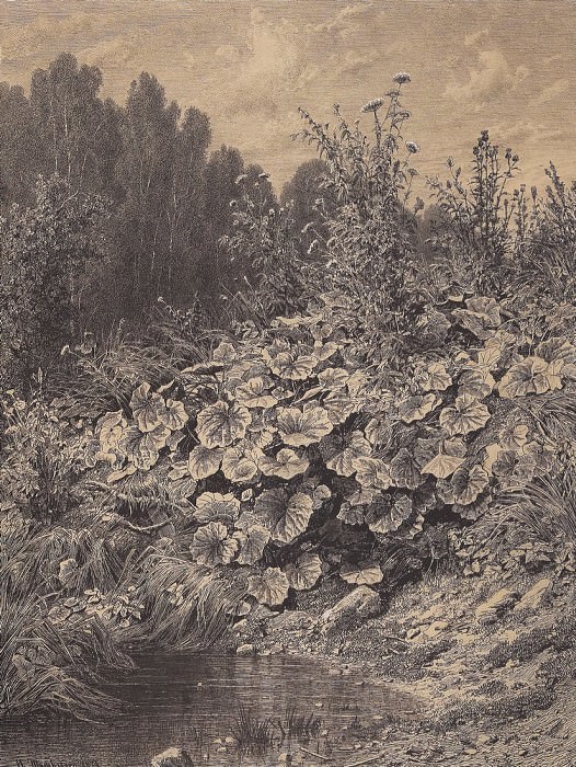 Мать-и-мачеха. 1874 66х49 картина
