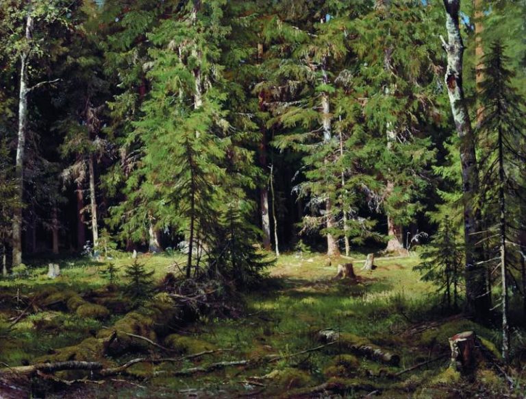 Лес 1880-е 83х110 картина