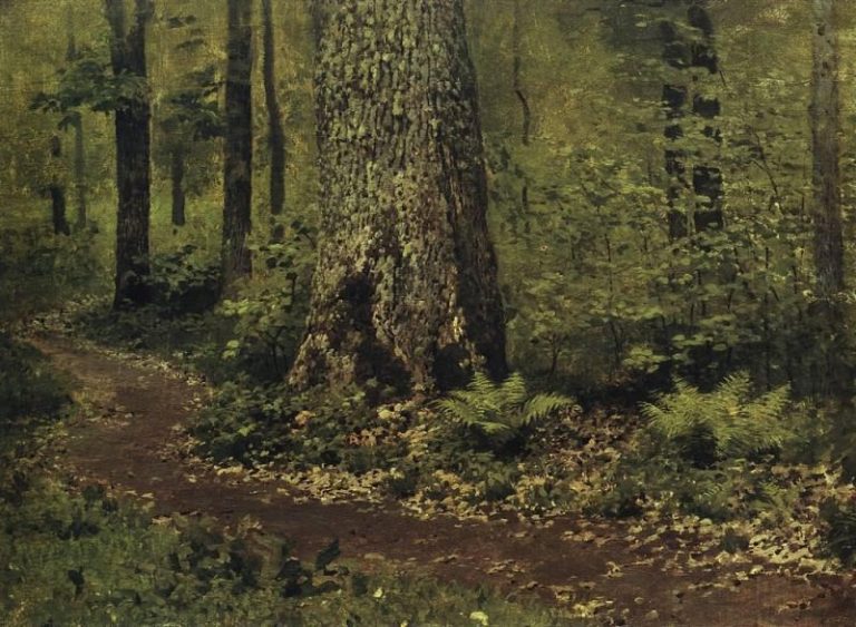 Тропинка в лиственном лесу. Папоротники. Около 1895 картина
