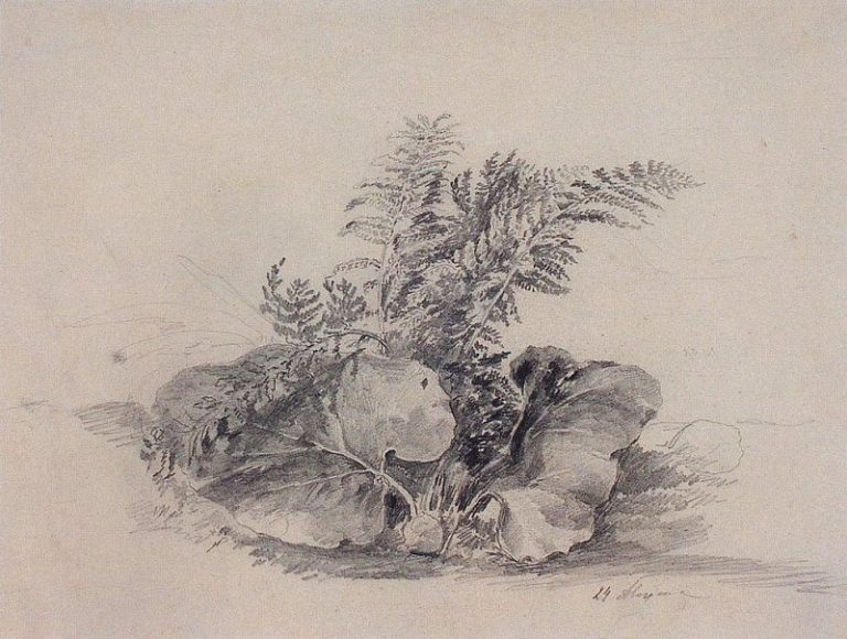 Листы папоротника и лопуха. 1854 картина