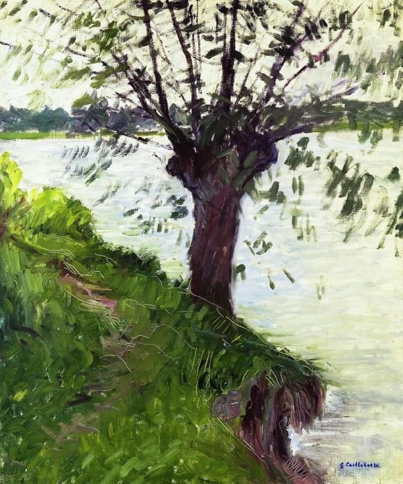 Ива на берегу Сены картина