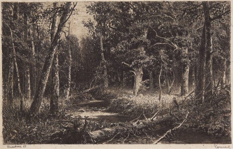 Чернолесье. 1885 17х27 картина