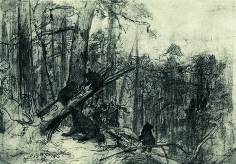 Утро в сосновом лесу. Конец 1880-х 23х33 картина