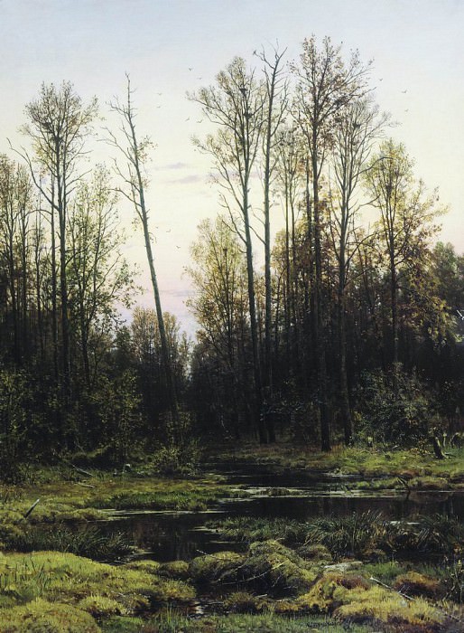 Лес весной 1884 142х105 картина