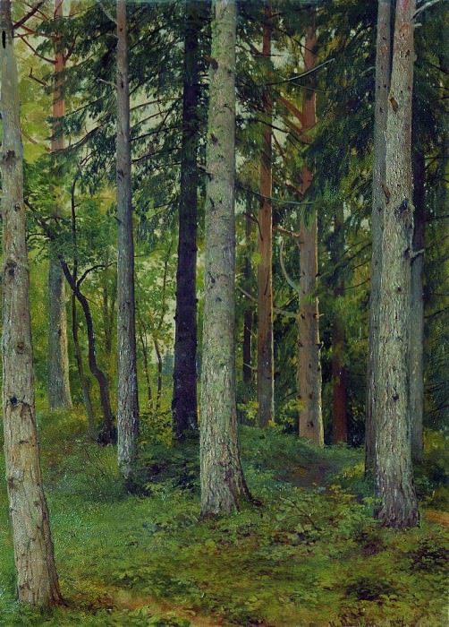 Лес 1897 картина