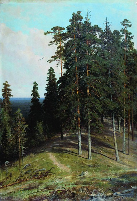 Лес с горы. 1895 106, 4х73 картина