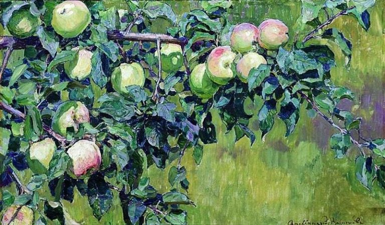 Ветка яблони. 1930 картина