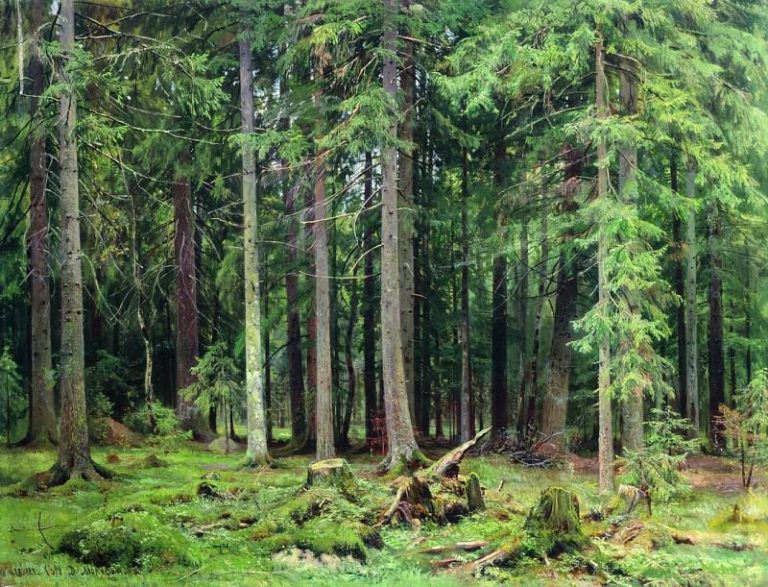 Лес в Мордвинове. 1891 83х110 картина