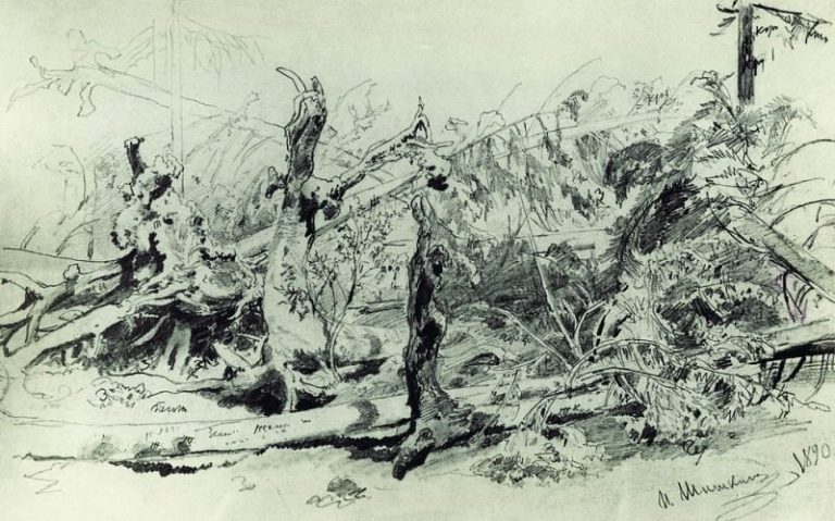 Бурелом 1890 Бумага. карандаш картина