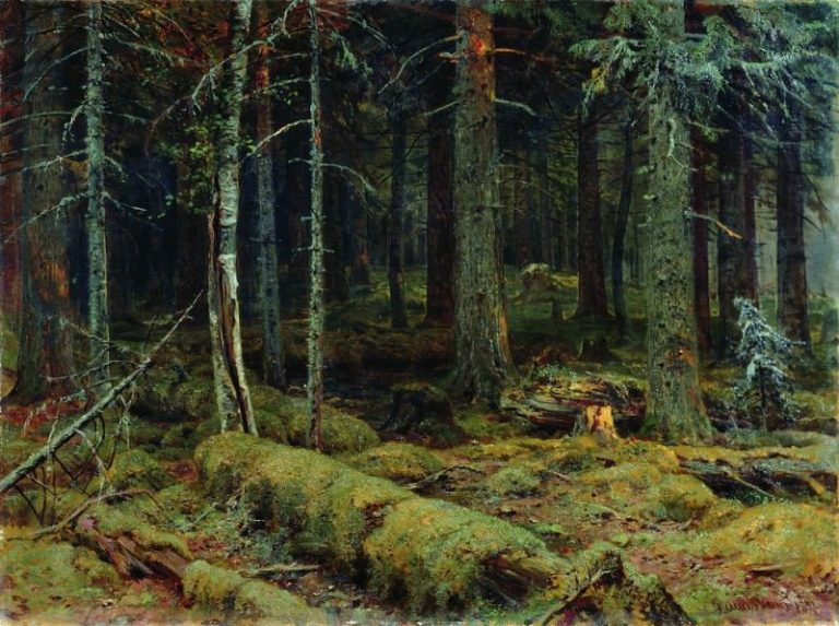 Тёмный лес 1890 92х124 картина