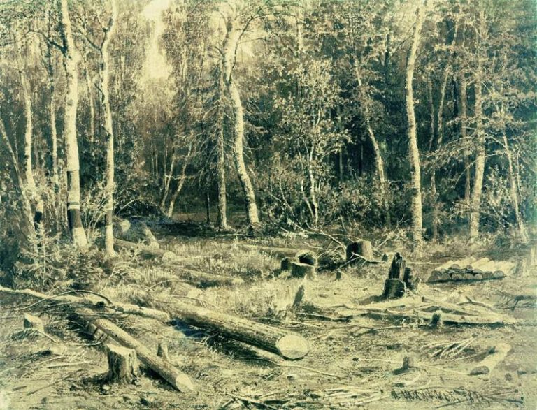 Лесной пейзаж. Картон, сепия 51х66 картина
