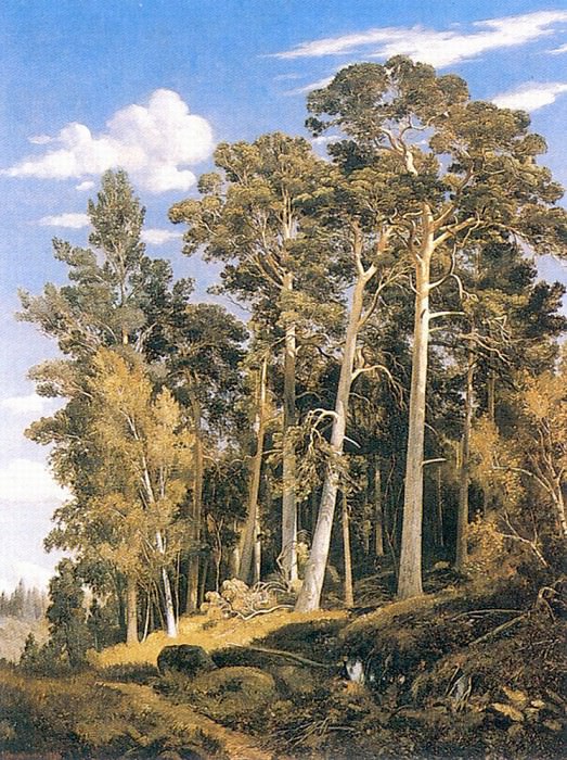 Сосновый лес 1866 91х70 картина