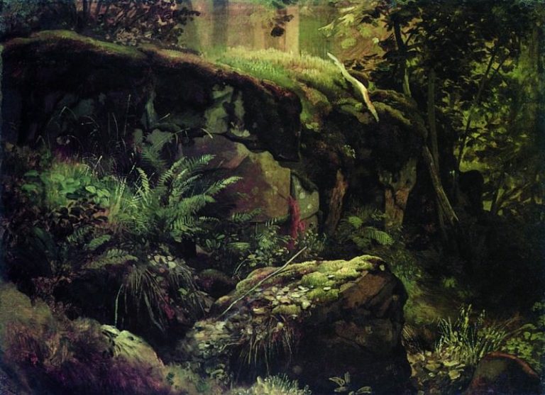 Камни в лесу. Валаам. Между 1858 и 1860 31х43 картина