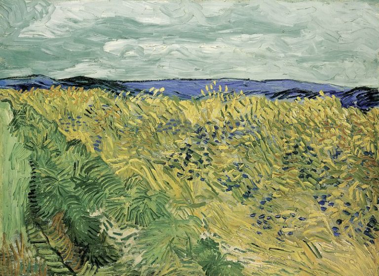 Пшеничное поле с васильками картина