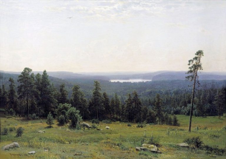 Лесные дали 1884 112х164 картина