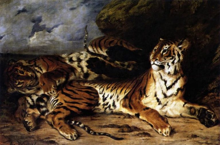 Молодая тигрица со своей матерью картина