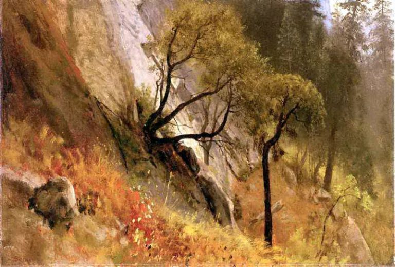 Пейзаж эскиз Йосмит Калифорнии картина