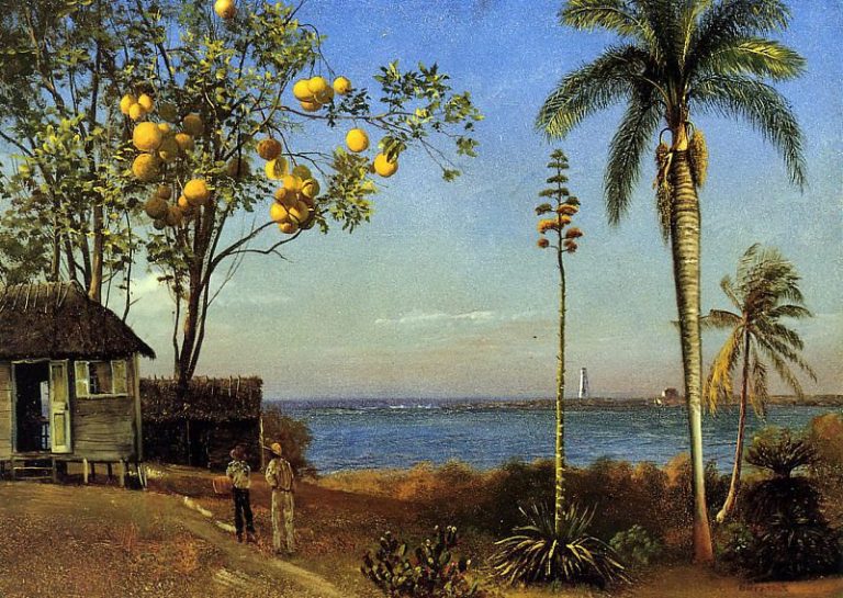 Вид на Багамах картина