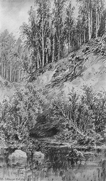 Берег ручья 1885 Бумага, графит. карандаш 48х31 картина