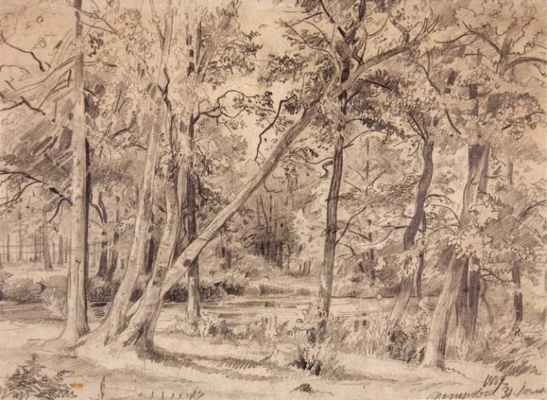 Болото на Петровском острове. 1869 23х31 картина