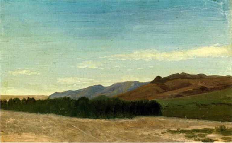 Равнины Рядом с Форт-Ларами картина