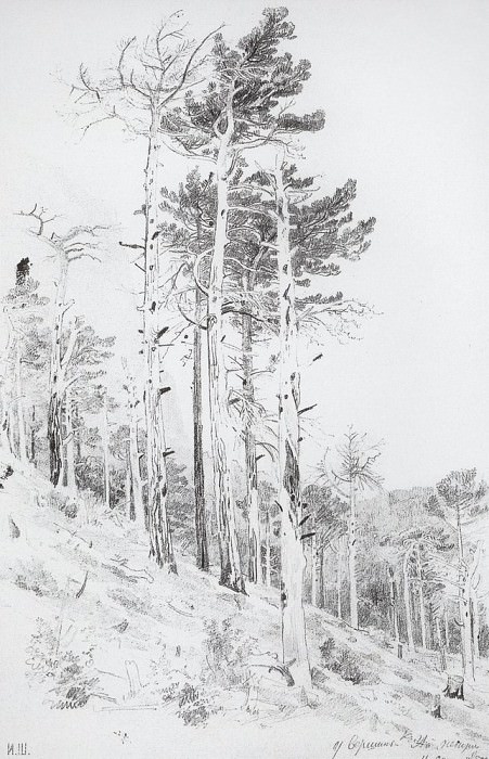 У вершины Ай-Петри 1879 47х30, 4 картина