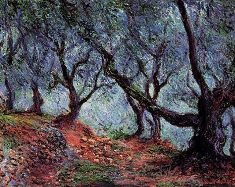 Роща оливковых деревьев в Бордигере картина