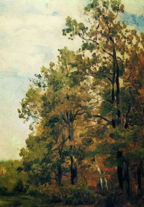 Опушка леса. Первая половина 1880-х картина