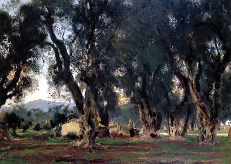Оливковые деревья в Корфу картина
