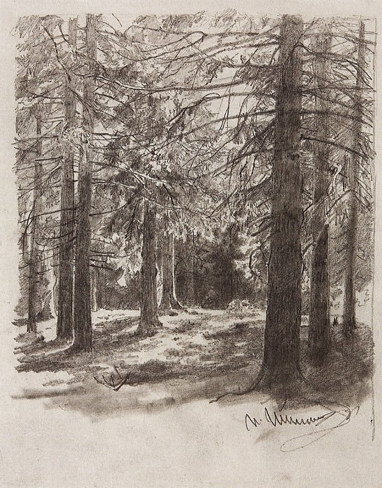Ели, освещенные солнцем. 1880-е 29х23 картина